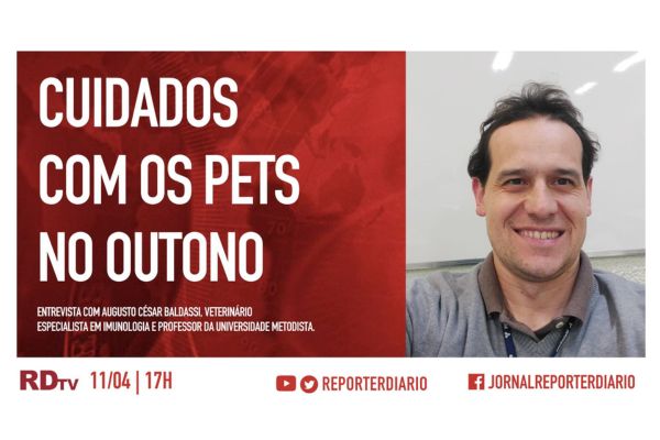 Boletim Rdtv S H Cuidados Os Pets No Outono